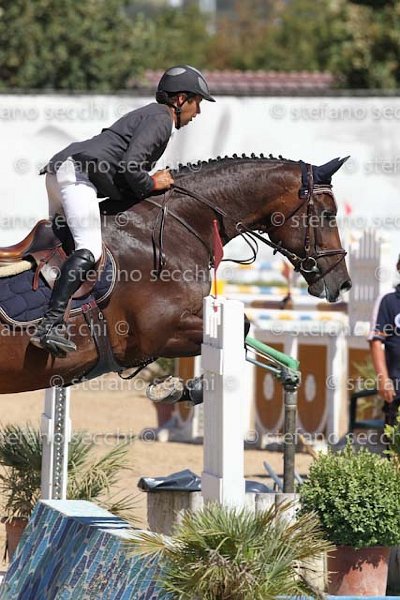 D ANTONI_D ACORADO_ECC_2011_SS3_5147.jpg